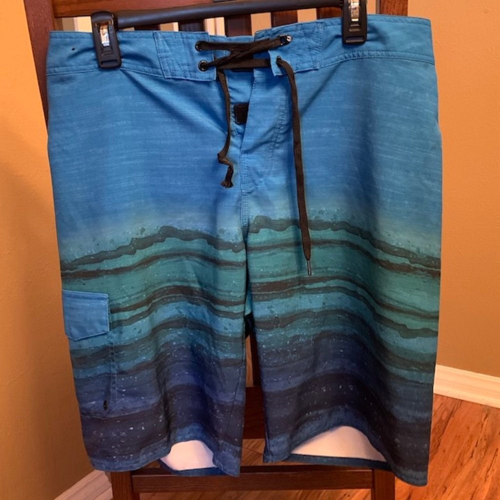 Hang Ten Swim Trunks